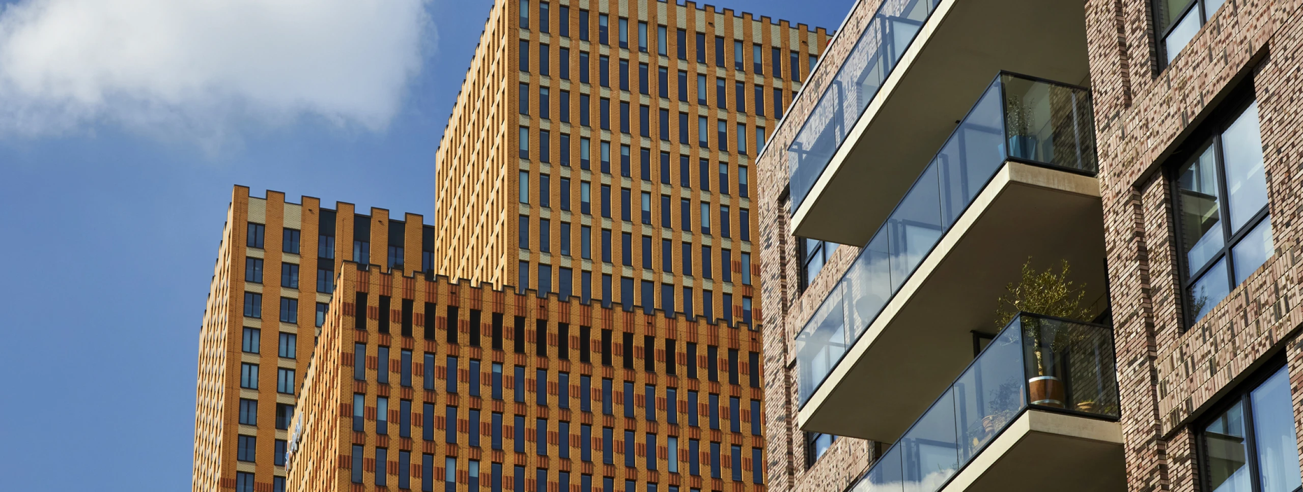 RealQ: uw hands-on en betrokken partner in projectmanagement en vastgoedadvies